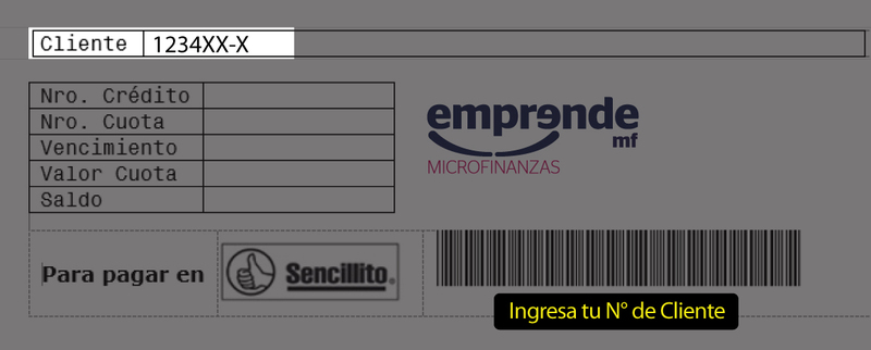 EmprendeMicrofinanzas_ayuda_288