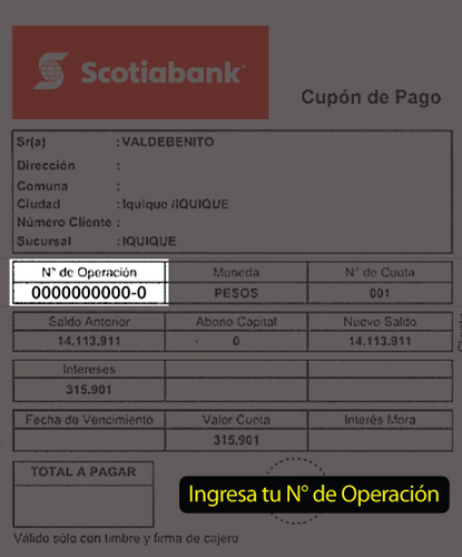 SCOTIABANKCAE_ayuda_215