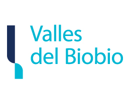 VallesdelBioBioRUT_logo_904