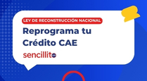 noticia cae
